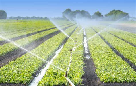 農(nóng)業(yè)灌溉水泵可以選擇的型號(hào)較多，流量和揚(yáng)程可選的范圍也大，是農(nóng)業(yè)上應(yīng)用范圍最廣的水泵